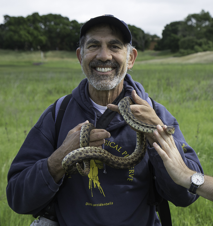 stanford bioblitz2019